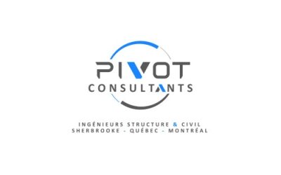 PIVOT CONSULTANTS